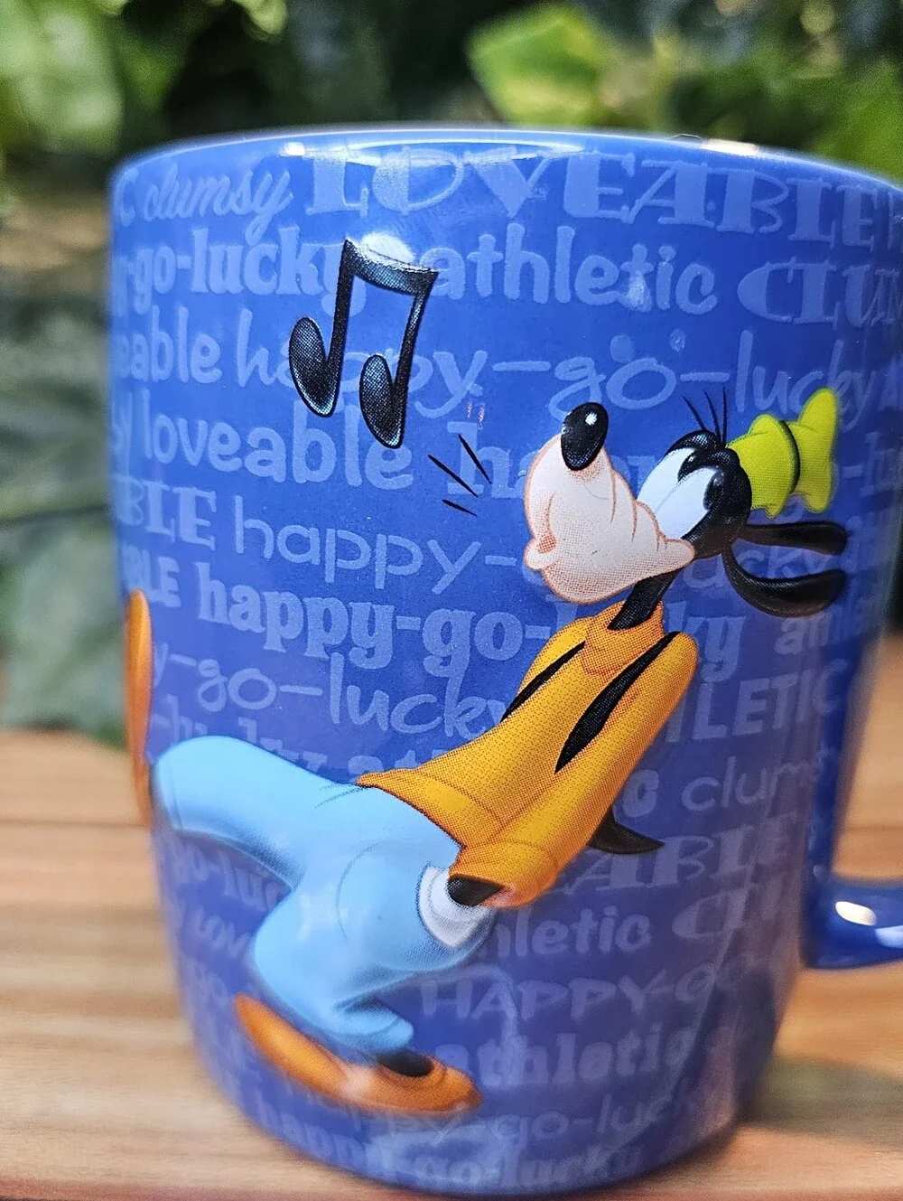 Disney fun parks